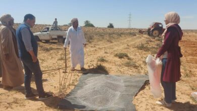 "بحوث الصحراء" ينفذ حقولًا إرشادية بمطروح لمواجهة التغيرات المناخي