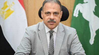 محافظ الشرقية يدعو المواطنين للإستفادة من تطبيق شارك ٢٠٣٠