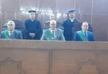 10 سنوات سجن وغرامة 1000 جنيه لمتهم بالاتجار فى الأسلحة النارية بسوهاج