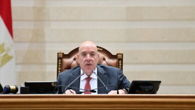 رئيس مجلس النواب أخبار سارة لأصحاب المعاشات: المنظومة الجديدة ستعمل بكامل كفاءتها خلال شهر
