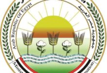 "الزراعة"  15 نصيحة لتخفيف تأثير الحرارة على الثروة الحيوانية والداجنة