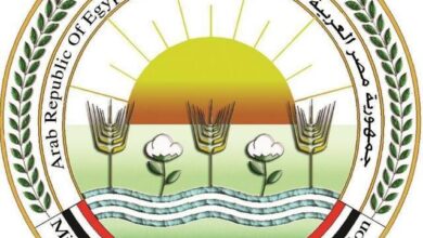 "الزراعة"  15 نصيحة لتخفيف تأثير الحرارة على الثروة الحيوانية والداجنة