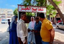 الدكتورة سوزان محمد وحيد