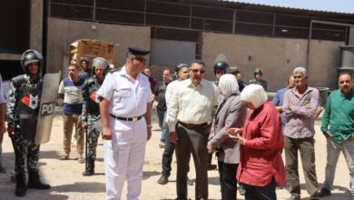محافظ القليوبية يشهد إزالة مبنى مخالف على مساحة 700 متر بحي غرب شبرا الخيمة