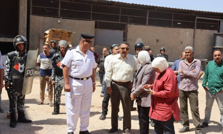 محافظ القليوبية يشهد إزالة مبنى مخالف على مساحة 700 متر بحي غرب شبرا الخيمة