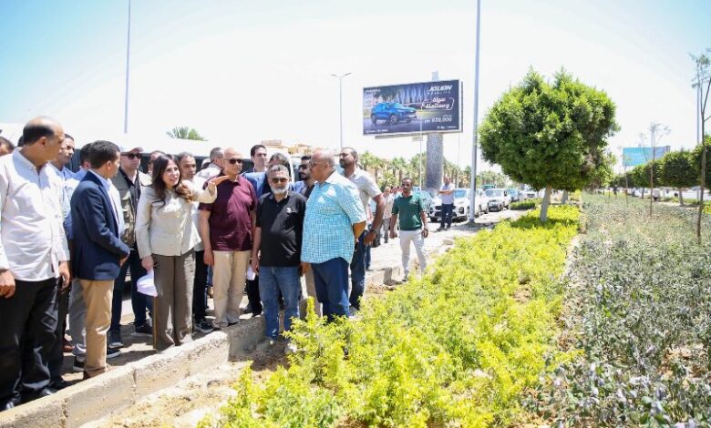 وزيرة الإسكان تتفقد أعمال التطوير والزراعة بمحور التسعين الشمالي ومنطقة البنوك بالقاهرة الجديدة