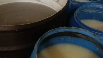 نصف طن ألبان غير صالحة للاستهلاك و 290 كيلو زبدة مجهولة بحملات فى كفرالشيخ