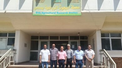 وفد التنمية المحلية يختتم زيارته لبني سويف لمتابعة مشروع مركز النباتات الطبية والعطرية بسمسطا