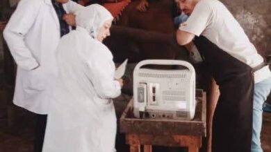 الزراعة"تلقيح الاصطناعي لأكثر من 38 ألف رأس وتحقق نسب نجاح متميزة