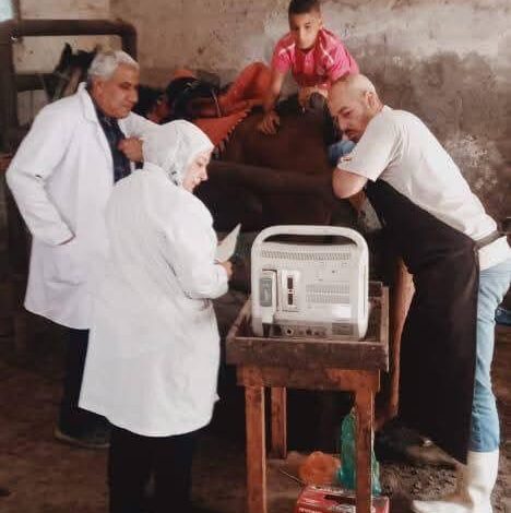 الزراعة"تلقيح الاصطناعي لأكثر من 38 ألف رأس وتحقق نسب نجاح متميزة
