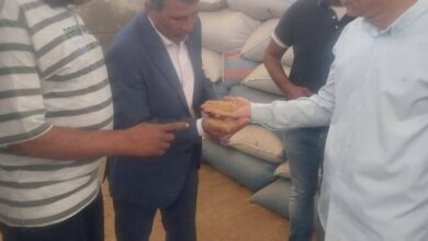 رئيس مدينة ناصر يتابع أعمال توريد القمح