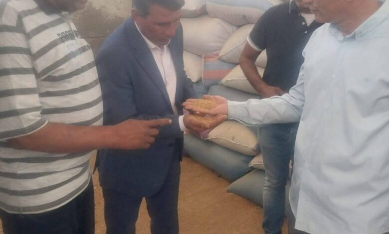رئيس مدينة ناصر يتابع أعمال توريد القمح