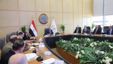 وزير النقل يترأس الجمعية التأسيسية لشركة تراست القناة لخدمات السفن