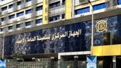 الجهاز المركزى للتعبئة والإحصاء: تراجع عدد العاملين فى القطاع العام و«الأعمال العام»