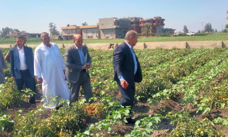 رئيس الإصلاح الزراعي يتابع منظومة العمل والزراعات الصيفية بمحافظة كفر الشيخ