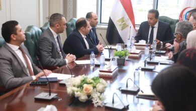 وزير الصحة يبحث مع شركتي STM وRVG تعزيز التعاون في المشروعات القومية والتحول الرقمي