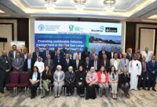 7 دول عربية وأفريقية في ورشة عمل بالقاهرة لإطلاق مشروع الإدارة المستدامة لمصايد الأسماك بالبحر الأحمر