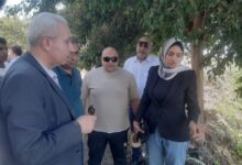 محافظ القليوبية يتابع فحص واقعة تداول مقطع فيديو يُظهر تمساح بمصرف قرية الحصافة بشبين القناطر