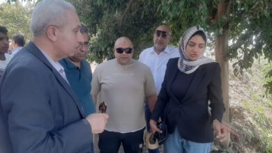 محافظ القليوبية يتابع فحص واقعة تداول مقطع فيديو يُظهر تمساح بمصرف قرية الحصافة بشبين القناطر