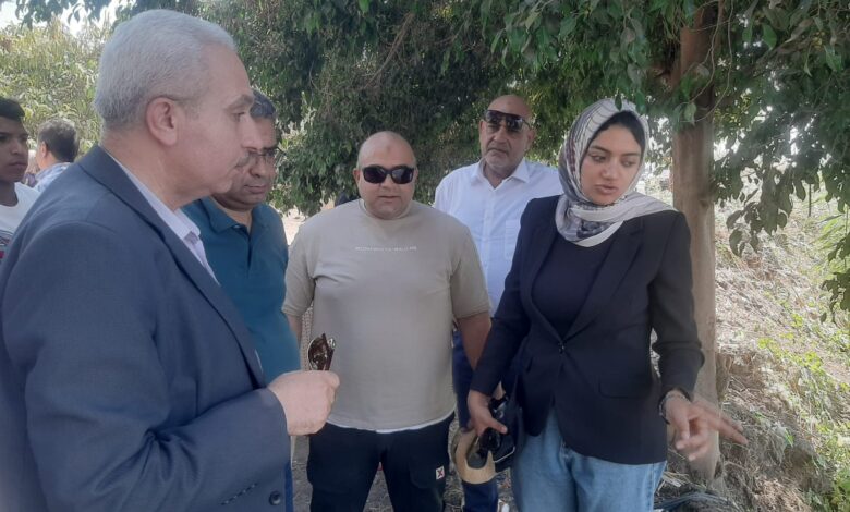 محافظ القليوبية يتابع فحص واقعة تداول مقطع فيديو يُظهر تمساح بمصرف قرية الحصافة بشبين القناطر