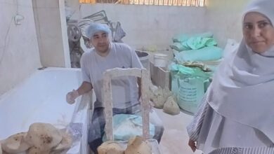 تحرير 134 مخالفة تموينية خلال يوم واحد في حملات رقابية على المخابز ببني سويف