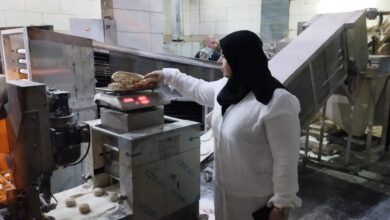 تحرير 7 محاضر لمخالفات تموينية متنوعة للمخابز البلدية بدسوق