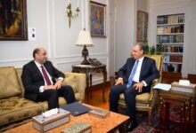 وزيرا الخارجية والعمل يبحثان تعزيز التعاون في ملف العمالة المصرية بالخارج