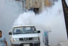 تنفيذ خطة لمكافحة الحشرات الطائرة بمركز. ومدينة قلين
