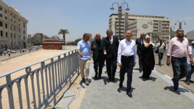 جولة ميدانية لمحافظ القاهرة لتفقد أعمال التطوير ورفع الكفاءة الجارية بكوبري الليمون