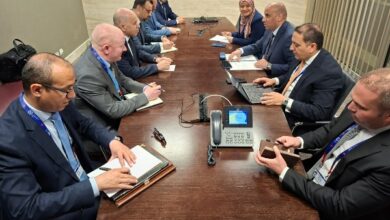 على هامش الدورة الـ114 لمؤتمر العمل الدولي:وزير العمل يبحث مع نظيريه الجزائري والسوداني التعاون في مجال التدريب المهني