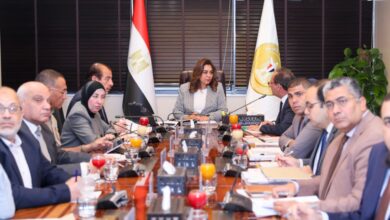 وزيرة التنمية والبيئة: تعميم السجل البيئي الرقمي الموحد للمنشآت الصناعية