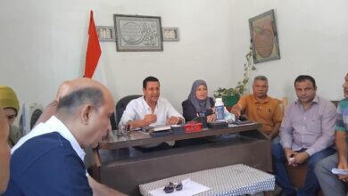 "الزراعة" تُطلق حزمة إجراءات عاجلة لدعم مزارعي المانجو بالإسماعيلية