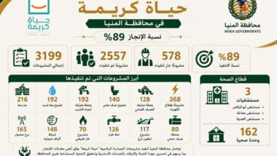 محافظ المنيا: تنفيذ 2557 مشروعًا ضمن المبادرة الرئاسية “حياة كريمة” بنسبة إنجاز 89%