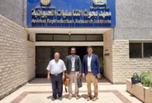 "الزراعة" : تعاون بحثي بين «التناسليات الحيوانية» و«الهند»