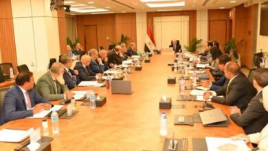 برئاسة نائب رئيس الوزراء :اجتماع الجمعية العمومية للشركة القابضة للصناعات الدوائية و المستلزمات الطبية