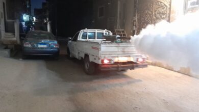 تكثيف حملات رش الناموس والحشرات الطائرة بمراكز ومدن  الشرقية