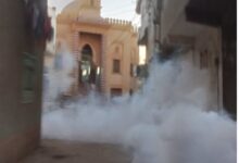 حملات رش الناموس