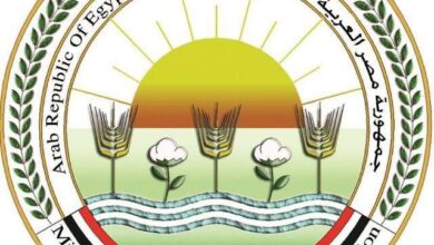 "الزراعة" تنظم ورشة عمل لتدريب مسئولي الإرشاد ومسؤولي الجمعيات