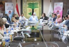 نائب وزير الصحة تشارك في المائدة المستديرة الثالثة حول الوضع القانوني والتشريعي لمواجهة زواج الأطفال
