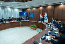 مصر والصين تدفعان بمشروعات استراتيجية في قطاع البتروكيماويات وتوطين بعض المنتجات