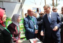 "الزراعة" تختتم مؤتمر التنمية المستدامة للثروة الحيوانية