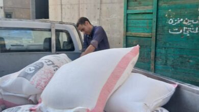 ضبط (450 كيلو جرام دقيق بلدي مدعم) داخل مخبز سياحي بكفر الشيخ