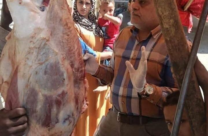 بيطري المنيا: تحرير 11 محضرًا وضبط 324 كيلو جرامًا لحوم وأسماك غير صالحة للاستهلاك الآدمي