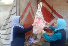 بيطري المنيا:تحرير 31 محضرًا وضبط 207 كجم لحوم ودواجن وأسماك غير صالحة للاستهلاك