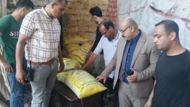 تحرير 4384 محضرًا تموينيًا خلال يونيو الماضي بمختلف مراكز المنيا