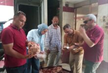 ضبط نصف طن دواجن وأسماك ولحوم غير صالحة للاستهلاك الآدمي فى أبوقرقاص وبني مزار