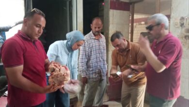 ضبط نصف طن دواجن وأسماك ولحوم غير صالحة للاستهلاك الآدمي فى أبوقرقاص وبني مزار