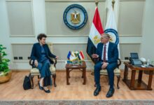 وزير البترول يبحث مع سفيرة قبرص تسريع مشروعات الربط في الغاز وفتح آفاق جديدة للاستثمارات التعدينية