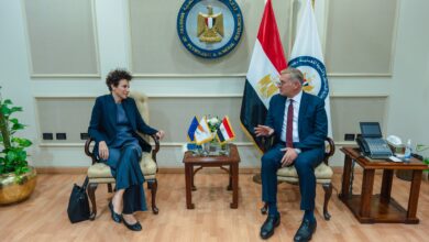 وزير البترول يبحث مع سفيرة قبرص تسريع مشروعات الربط في الغاز وفتح آفاق جديدة للاستثمارات التعدينية