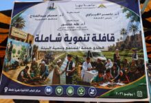 محافظ القليوبية ورئيس جامعة بنها يفتتحان القافلة التنموية الشاملة بقرية طحلة